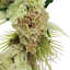 23" Spring Wreath with Hydrangeas, Pampas and Astilbe