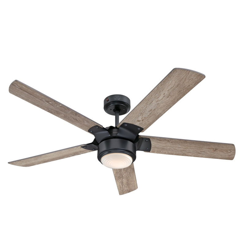 Prochoros Ceiling Fan with LED Lights