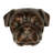 Pug Door Knocker