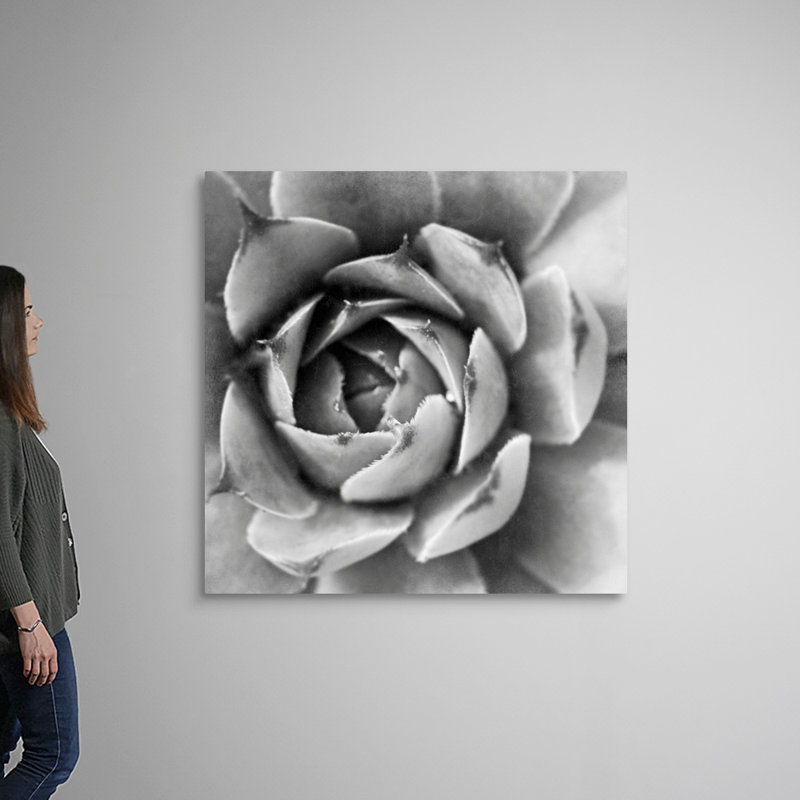 «Garden Succulent II», art mural sur toile, H 48 po x l 48 po x P 1,25 po, Toile tendue