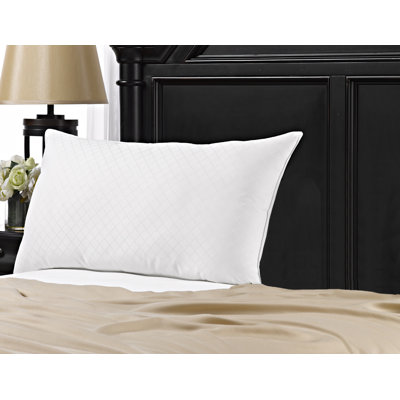 Cassiopeia Gel Fiber Plush Pillow