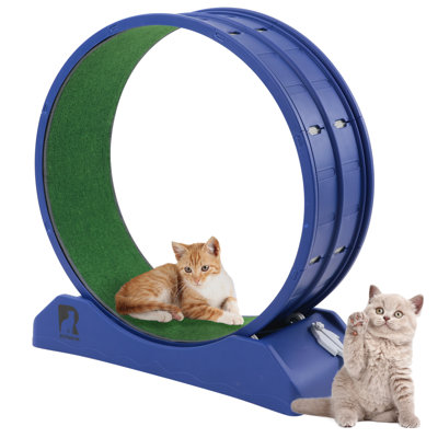 Plastic Cat Exercise Wheel With Interactive Toy For Indoor Cats With Replaceable Runway And Safety Lock