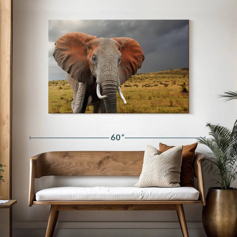 Éléphant d'Afrique Brampt, H 32 po x l 48 po