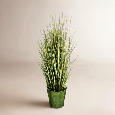 72" Grass in Pot