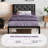 Katri Upholstered Metal Platform Bed-2102691820-2102691817