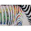 Zebra Love Hand Painted Acrylic Painting