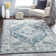 Oriental Area Rug
