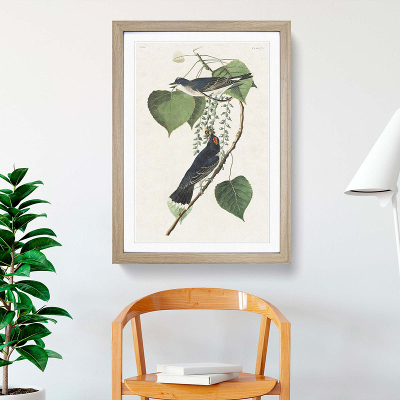 Tyrant Flycatcher Birds by John Audubon - Picture Frame Painting Print, Oak Framed, 36cm H x 27cm W x 2cm D