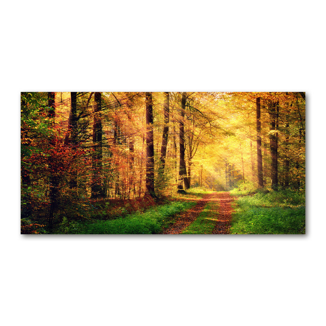 Herbstwald - Kunstdrucke auf Leinwand - Wrapped Canvas