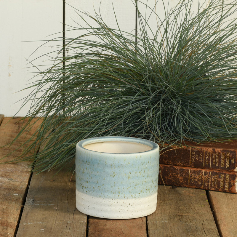 Statham Sand rencontre Sea Cachepot, H 3,5 po x l 4,25 po x P 4,25 po