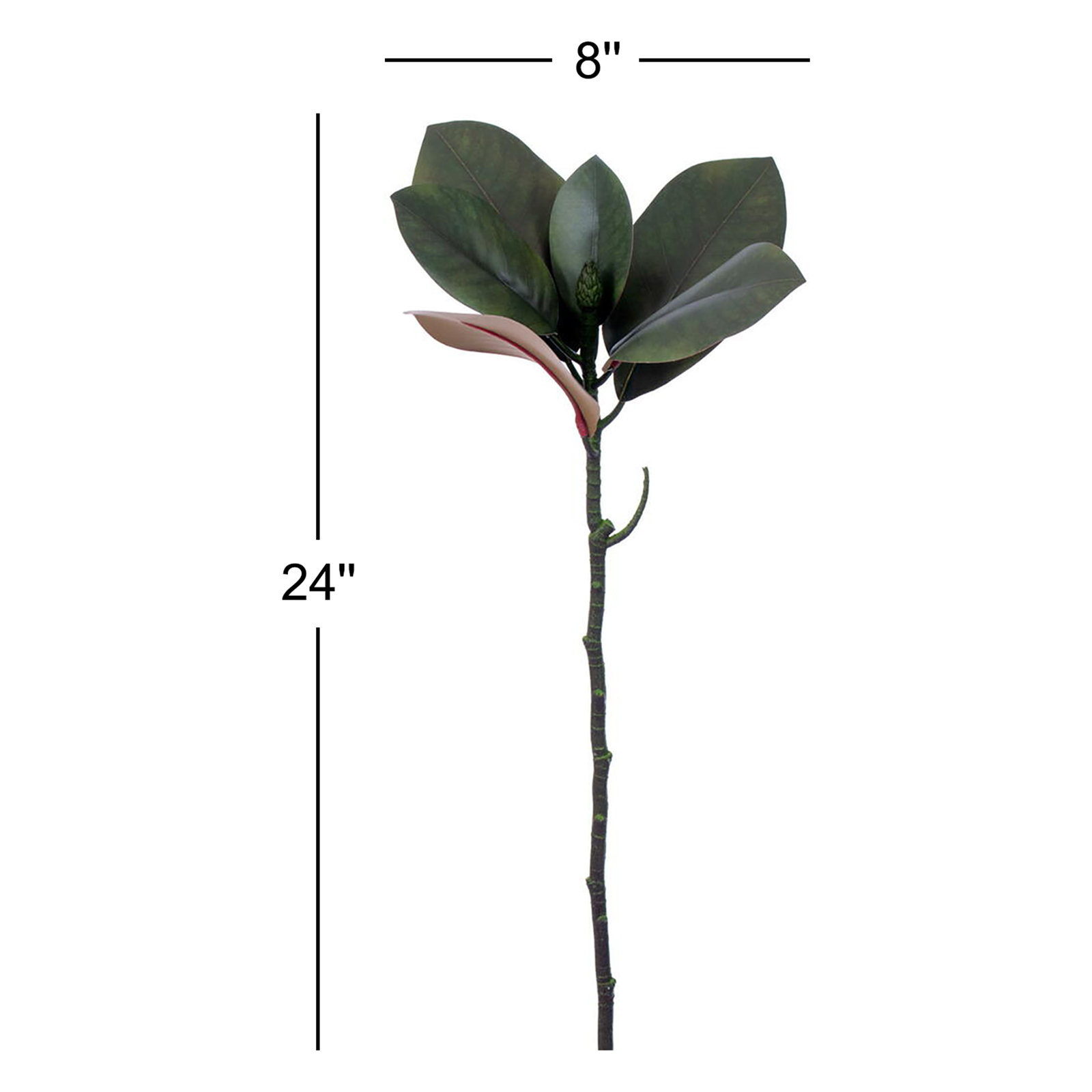Magnolia Floral Stems