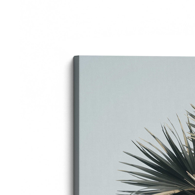 Sky High Palms, Large Canvas Print, 54" H x 36" W