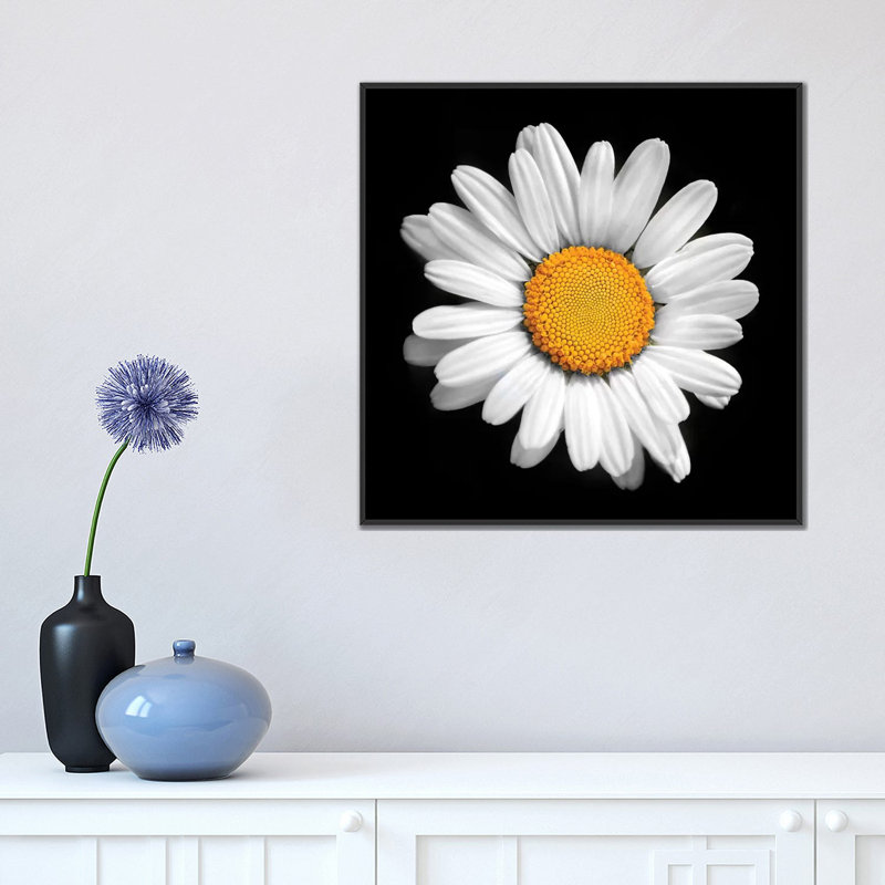 «There Is a Sun in Every Flower» par Ben Heine - impression d'art graphique, H 18 po x l 18 po x 1,5 po, Pas de tapis
