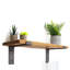 Mccartney Spruce Solid Wood Bracket Shelf