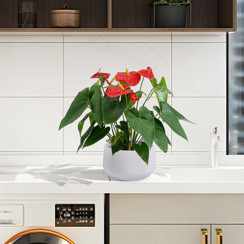 2 pots de fleurs en céramique, pot de fleurs moderne pour patio, jardin ou rebords de fenêtre