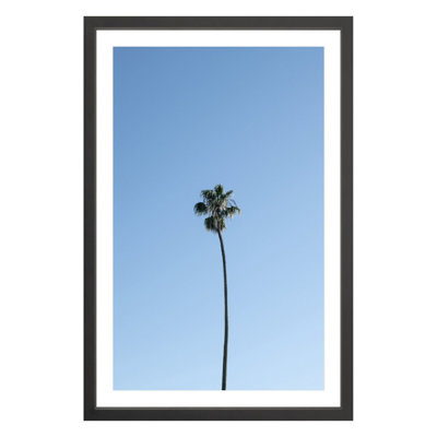 Plants & Flowers Print