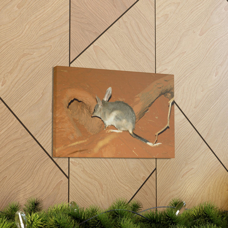 No Frame Print on Canvas, 30.48cm H x 45.72cm W