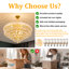 Alarica Chandelier
