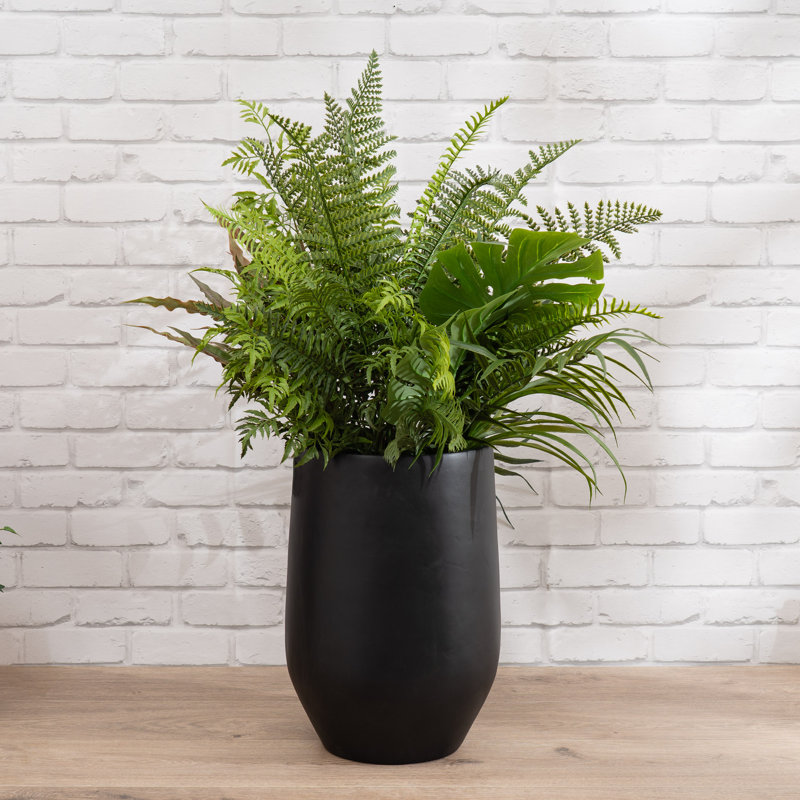 Antavia Faux Foliage Plant in Cement Pot, Black