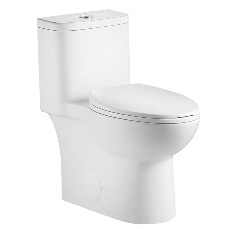 Toilette à double chasse 1,1 / 1,6 GPF avec siphonic S-Trap, Blanc