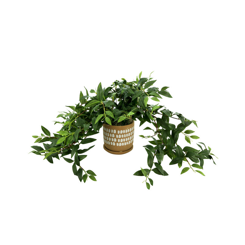 Mayna Faux Ivy Plant in Ceramic Pot