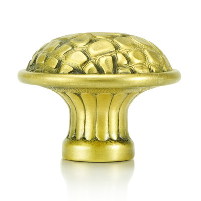 ALLIGATOR KNOB FLORENTINE