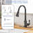 VIBRANTBATH Pull Out and Pull Down Kitchen Faucet-141362553-141362558