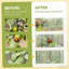 Protecteurs de plantes, cage de jardin