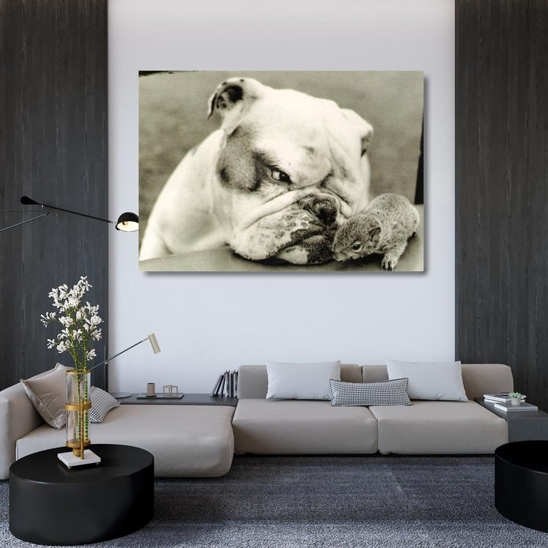 Bulldog, H 34 po x l 48 po