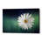 'Wood Series: A Daisy' Canvas Wall Art-24714590