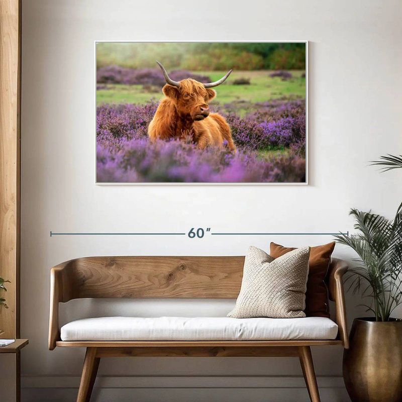 Highland Cow Paradise, Cadre flottant blanc, 43 po x 29 po