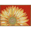 Tapis de cuisine Ismay-86868737-86868742