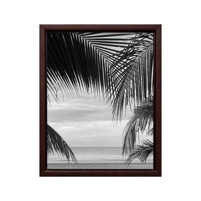 View Between Palm Leaves