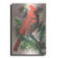 «Show-Off» par Barbara Keith-101615495