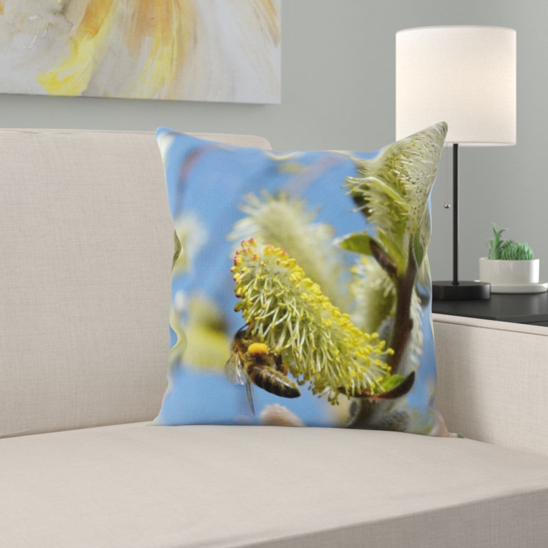 Coussin willow catkin