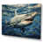 Wrapped Canvas