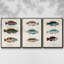 Antique Fish Trio I, ensemble de 3 toiles encadrées sur toile-97760252-97760248