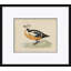 Duck Series Giclee Print by Paul Cezanne