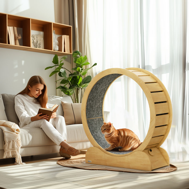 121 cm H Cat Tree / Condo