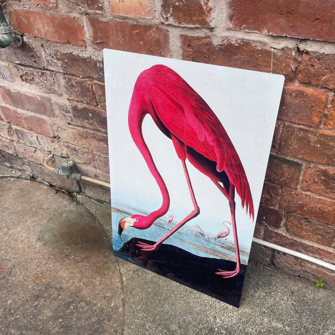 Flamingo Botanical Illustration John Audubon Metal Wall Décor