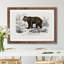 Brown Bear - Framed Print-48215781-48215782