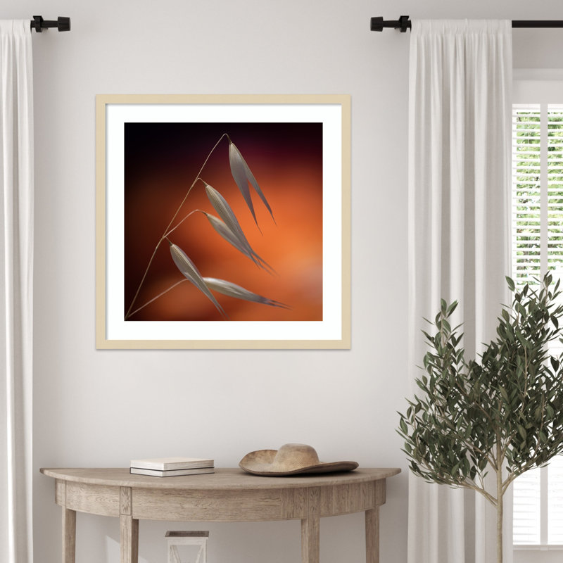 «Plant at Sunset» par Thierry Lagandre (reproduction d'art encadrée en bois transgressé, H 25 po x l 25 po