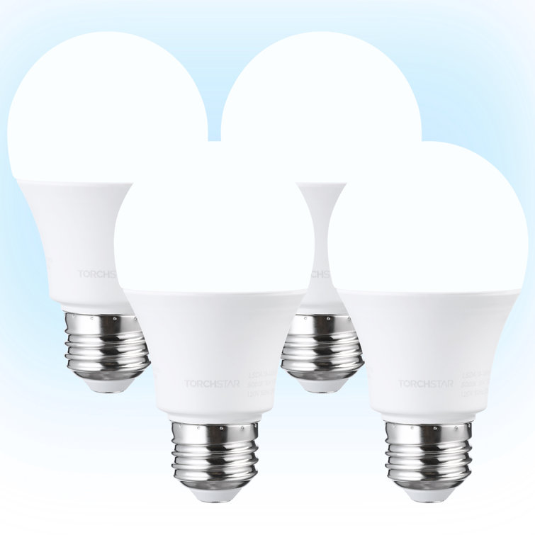 100 Watt Equivalent A19 E26/Medium (Standard) 5000K LED Bulb