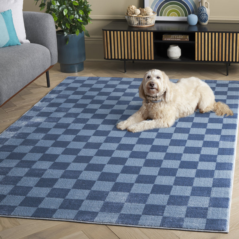 Lavone Performance Checkered Rug, Rectangle 5'3" x 7'6