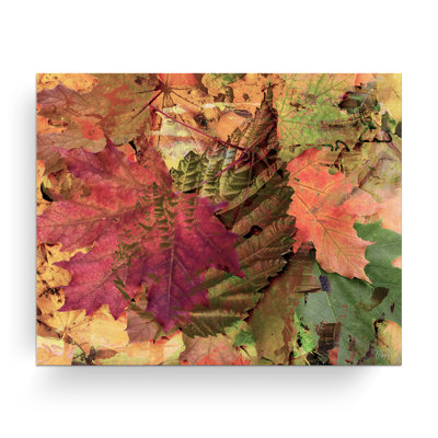 «Fall Ink XXV» par Tristan Scott - impression sur toile tendue