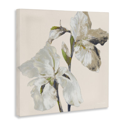 Toile beige iris doux, design par Lanie Loreth