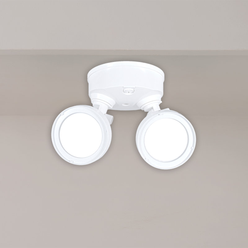LED Dusk to Dawn Flood Light (Pack of 2)