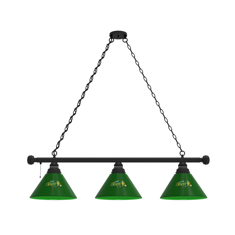 3 - Light Pool Table Lights Pendant, Black, North Dakota State Bison - Green