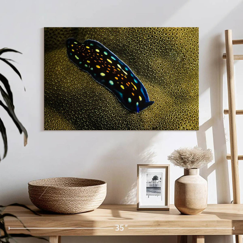 Linda's Flatworm, 16" H x 24" W