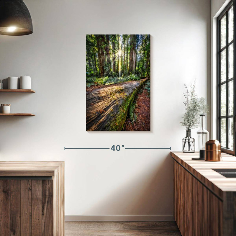 Harnek Sunrise In Jedediah Smith Redwood Forest, 36" H x 24" W
